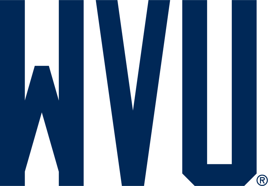 West Virginia Mountaineers 2019-Pres Wordmark Logo diy iron on heat transfer